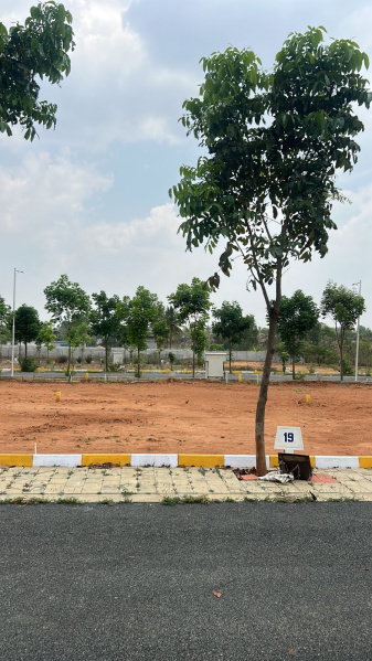 1200 Sq.ft. Residential Plot for Sale in Devanahalli, Bangalore