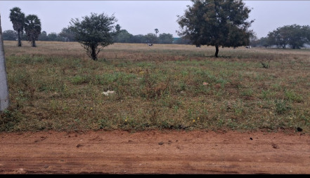  69600 Sq.ft. Commercial Land for Sale in Sholinganallur, Chennai