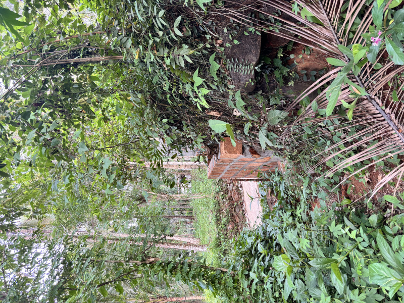  18 Cent Residential Plot for Sale in Nanminda, Kozhikode