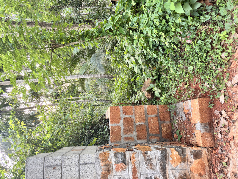  18 Cent Residential Plot for Sale in Nanminda, Kozhikode