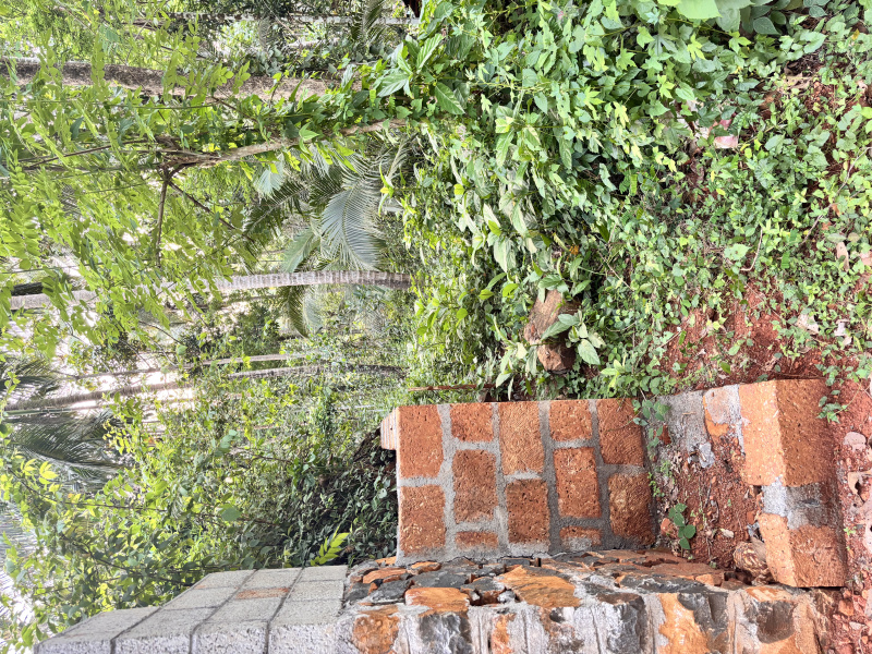  18 Cent Residential Plot for Sale in Nanminda, Kozhikode