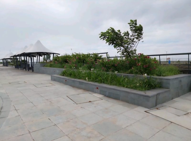  6280 Sq. Yards Residential Plot for Sale in Dholera, Ahmedabad