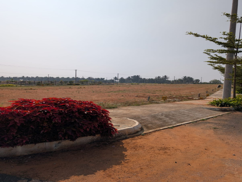  1200 Sq.ft. Residential Plot for Sale in Channarayapatna, Hassan