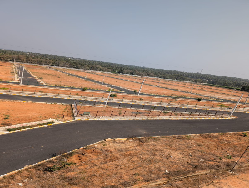  1200 Sq.ft. Residential Plot for Sale in Channarayapatna, Hassan