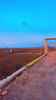  Residential Plot for Sale in Sonepur, Patna