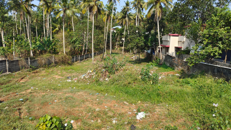  40 Cent Commercial Land for Rent in Venjaramoodu, Thiruvananthapuram