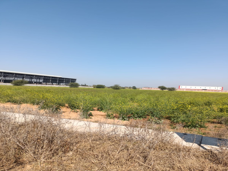 12000 Sq. Meter Industrial Land for Sale in HSIIDC, Dharuhera