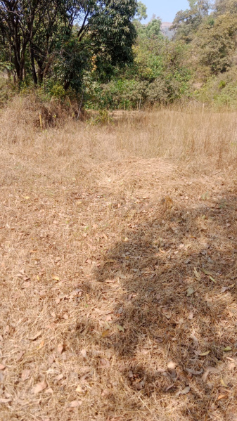  126 Sq.ft. Agricultural/Farm Land for Sale in Taluka Velhe, Pune