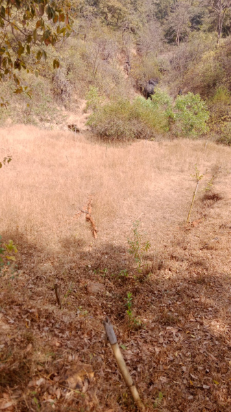  126 Sq.ft. Agricultural/Farm Land for Sale in Taluka Velhe, Pune