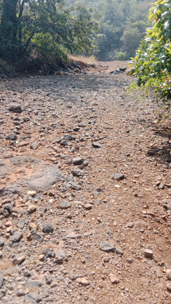  126 Sq.ft. Agricultural/Farm Land for Sale in Taluka Velhe, Pune