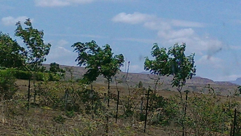  1 Acre Residential Plot for Sale in Nasarpur, Behror