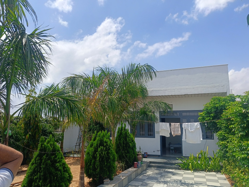 2 BHK 250 Sq. Yards Farm House for Sale in Diggi Road, Jaipur