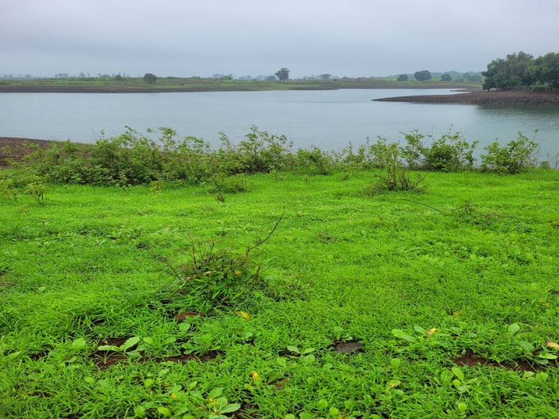  11 Acre Agricultural/Farm Land for Sale in Trimbakeshwar, Nashik