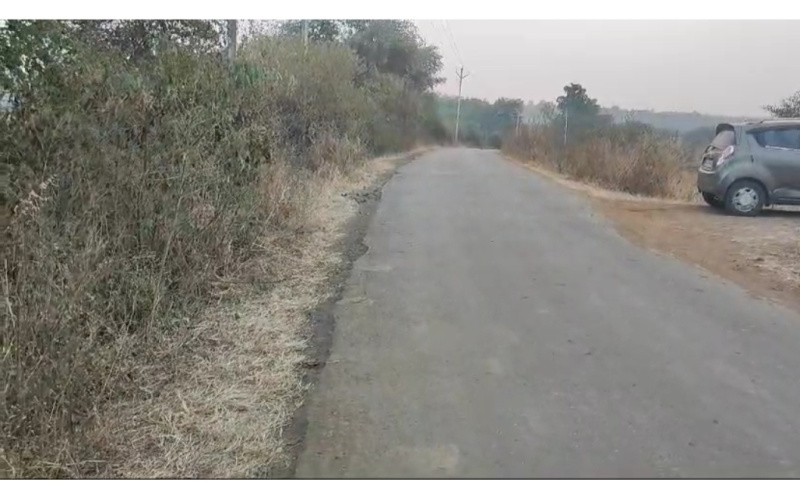  38 Guntha Agricultural/Farm Land for Sale in Igatpuri, Nashik