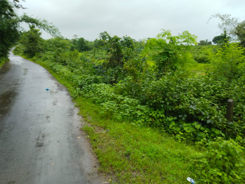  7 Acre Agricultural/Farm Land for Sale in Igatpuri, Nashik