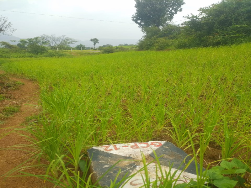  7 Acre Agricultural/Farm Land for Sale in Igatpuri, Nashik