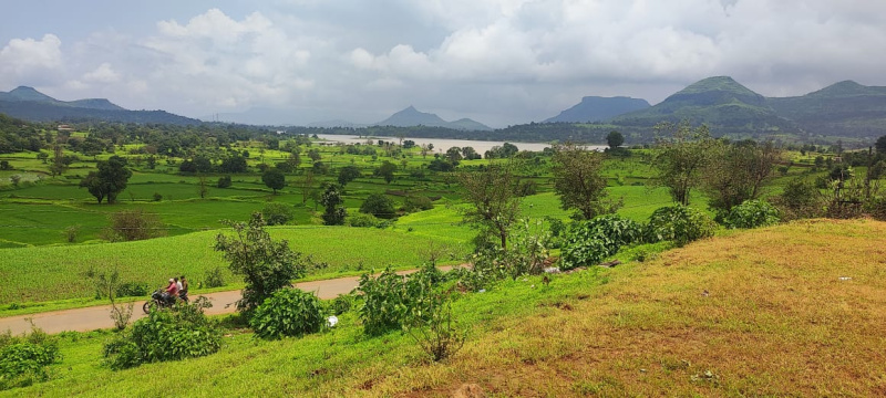  7 Acre Agricultural/Farm Land for Sale in Igatpuri, Nashik