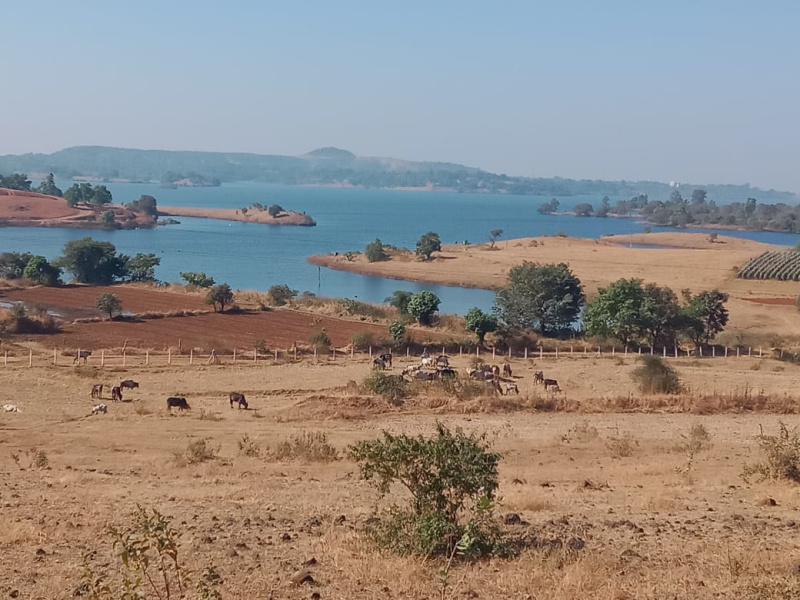  20 Ares Agricultural/Farm Land for Sale in Trimbak, Nashik