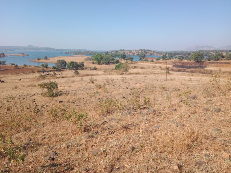  20 Ares Agricultural/Farm Land for Sale in Trimbak, Nashik