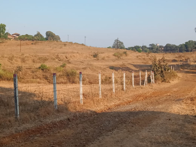  20 Ares Agricultural/Farm Land for Sale in Trimbak, Nashik