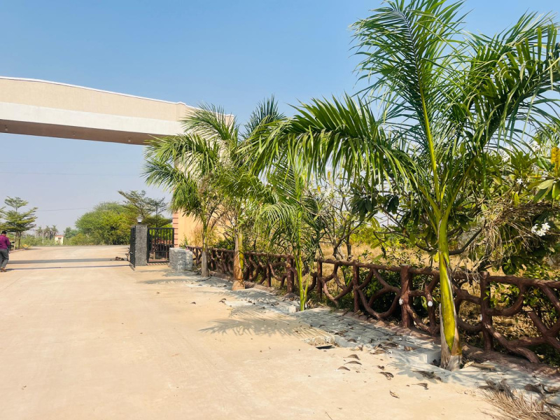  600 Sq.ft. Residential Plot for Sale in Naya Raipur, Raipur