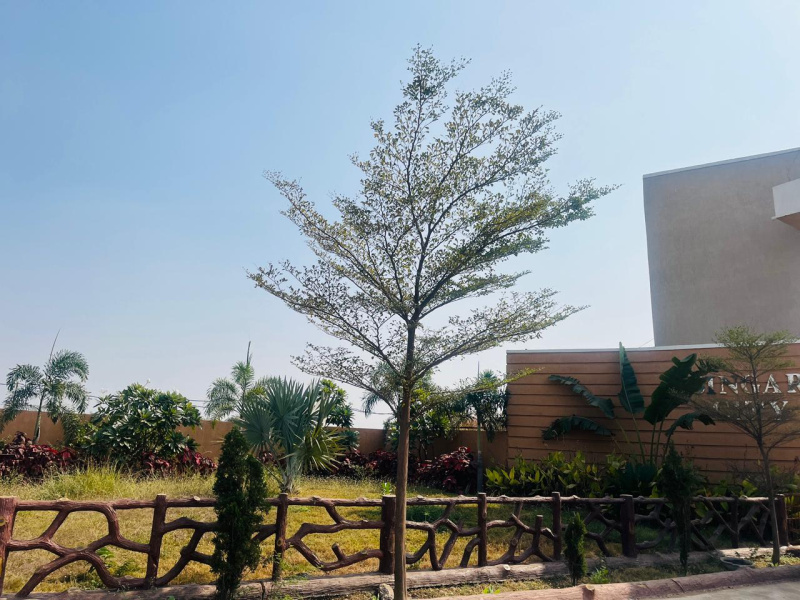  600 Sq.ft. Residential Plot for Sale in Naya Raipur, Raipur