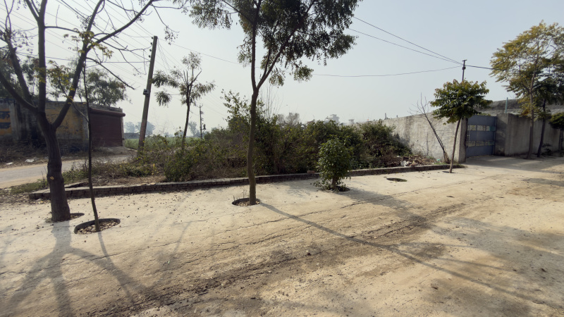  1008 Sq.ft. Commercial Shop for Sale in Doraha, Ludhiana