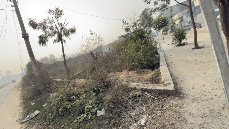  1008 Sq.ft. Commercial Shop for Sale in Doraha, Ludhiana