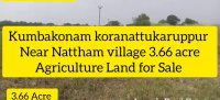  Agricultural Land for Sale in Kumbakonam, Thanjavur