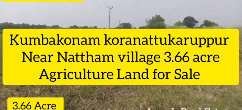  366 Cent Agricultural/Farm Land for Sale in Kumbakonam, Thanjavur
