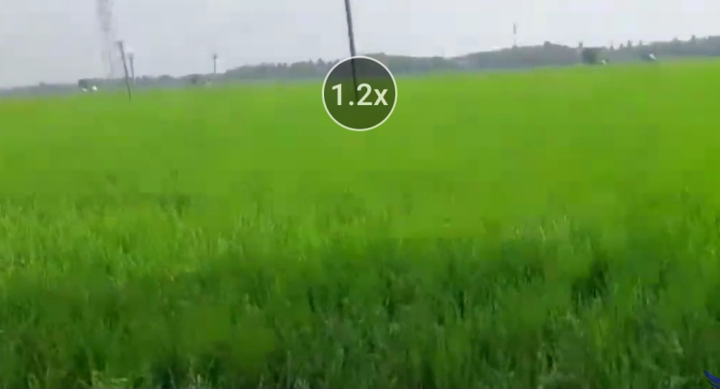  366 Cent Agricultural/Farm Land for Sale in Kumbakonam, Thanjavur