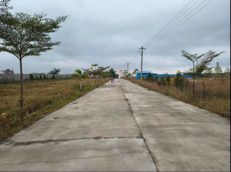  1200 Sq.ft. Residential Plot for Sale in Alasanatham, Hosur