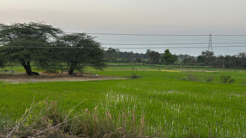  1 Acre Agricultural/Farm Land for Sale in Tupran, Medak