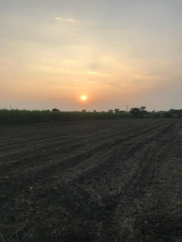  Agricultural Land for Sale in Sanaswadi, Pune