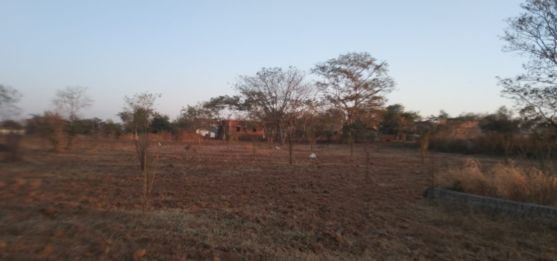  1 Acre Agricultural/Farm Land for Sale in Kota Road, Bilaspur