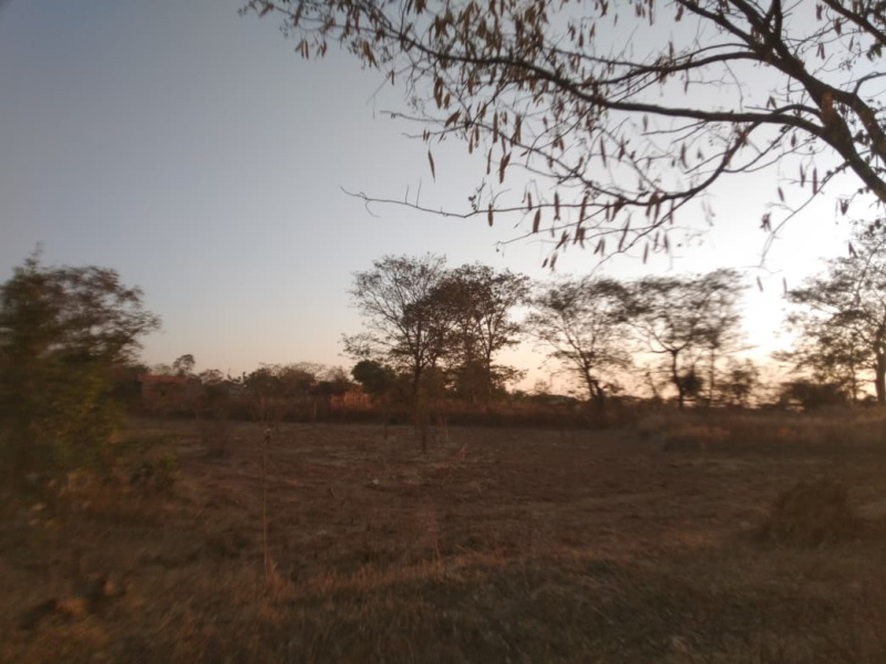 1 Acre Agricultural/Farm Land for Sale in Kota Road, Bilaspur