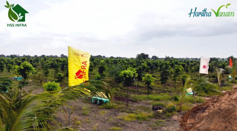  121 Sq. Yards Residential Plot for Sale in Narayankhed, Sangareddy