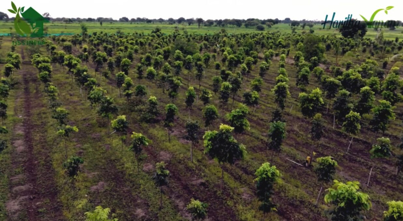  121 Sq. Yards Residential Plot for Sale in Narayankhed, Sangareddy