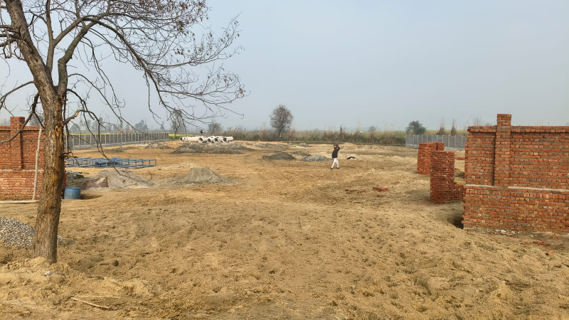  200 Sq. Yards Residential Plot for Sale in Krishna Nagar, Hapur