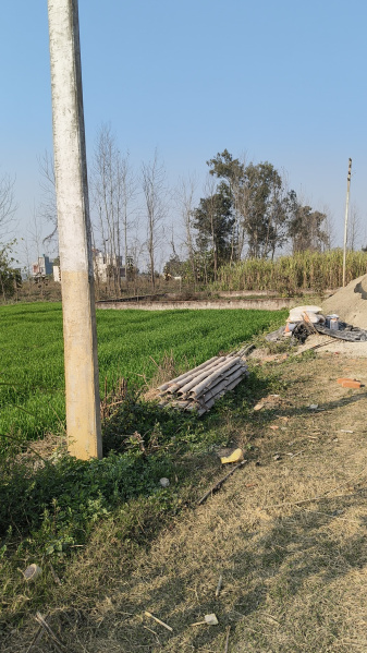  60000 Sq.ft. Residential Plot for Sale in Dineshpur, Udham Singh Nagar