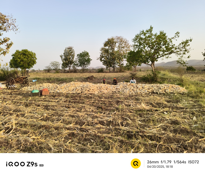  2 Acre Agricultural/Farm Land for Sale in Jamner, Jalgaon