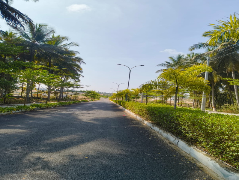 1200 Sq.ft. Residential Plot for Sale in Channarayapatna, Hassan