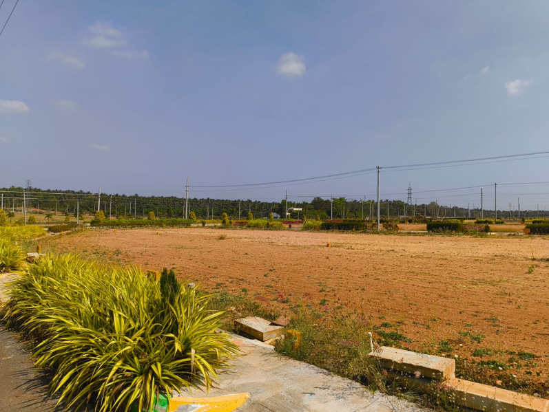 1200 Sq.ft. Residential Plot for Sale in Channarayapatna, Hassan