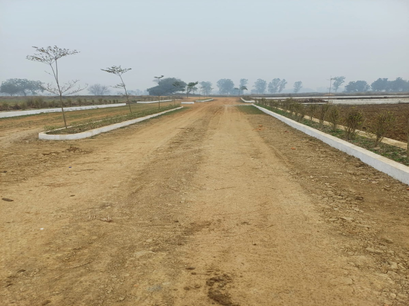  1000 Sq.ft. Residential Plot for Sale in Jangal Kauria, Gorakhpur
