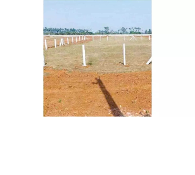  100 Sq. Yards Residential Plot for Sale in Bharawas, Rewari