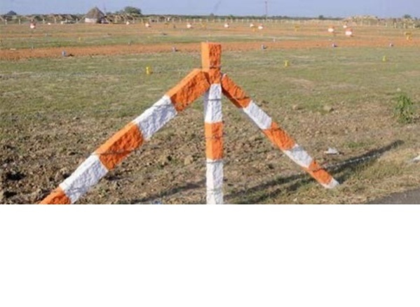  100 Sq. Yards Residential Plot for Sale in Bharawas, Rewari