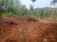  Residential Plot for Sale in Sreekrishnapuram, Palakkad