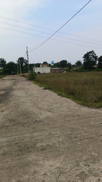  3000 Sq.ft. Agricultural/Farm Land for Sale in Ratibad, Bhopal