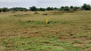  1200 Sq.ft. Residential Plot for Sale in Sriperumbudur, Chennai