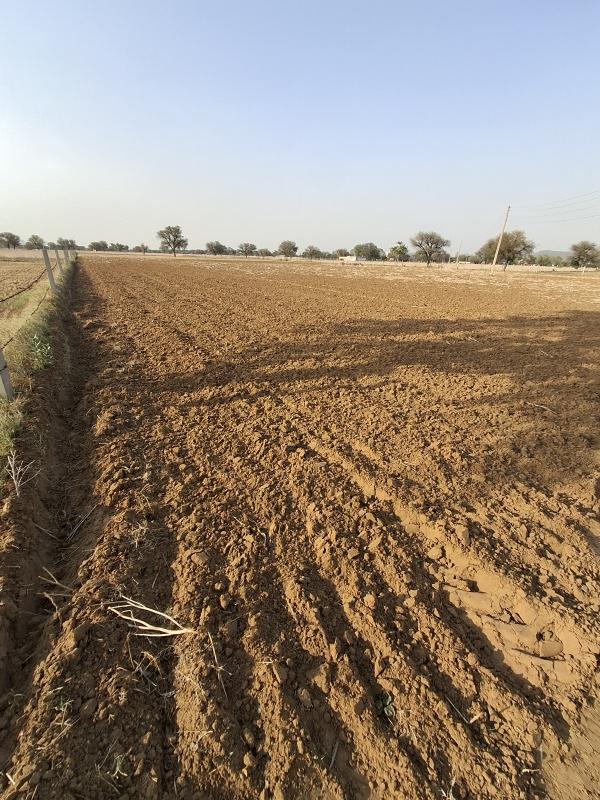  18 Bigha Agricultural/Farm Land for Sale in Kund, Rewari, 